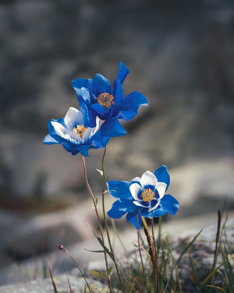 Photograph by Максим Мозжухин