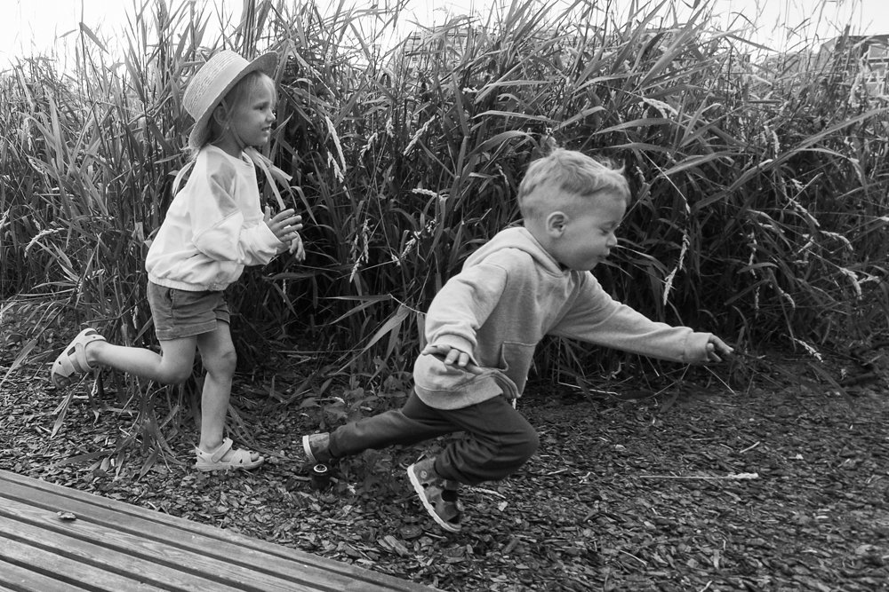 Photograph by Василий Чекорин