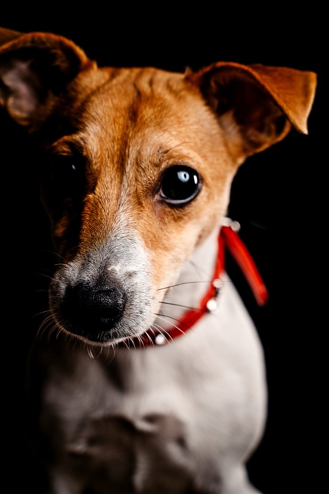 Photograph by Олег Радченков