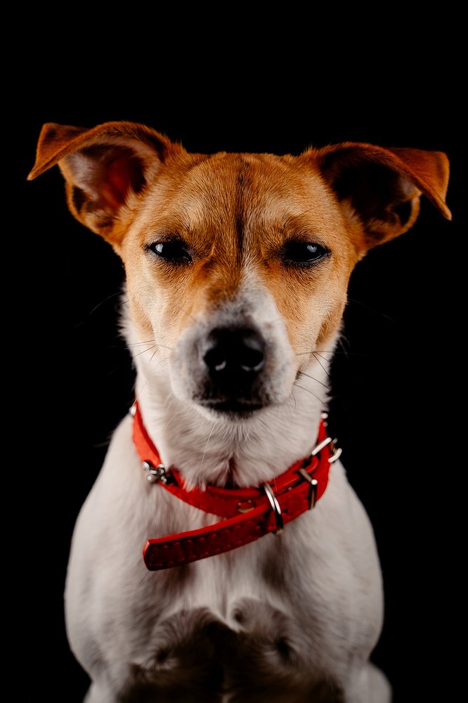 Photograph by Олег Радченков