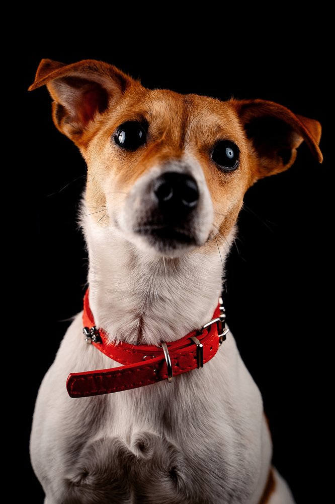 Photograph by Олег Радченков