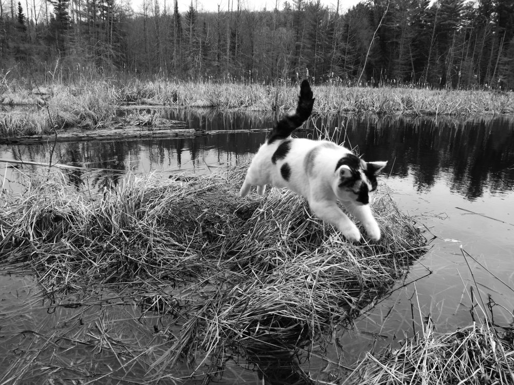 Photograph by Josée Beauchemin