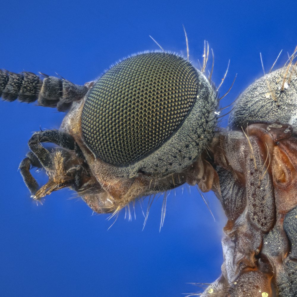 Photograph by Сергей Федоренко