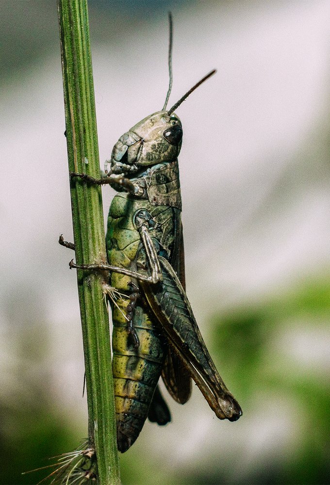 Photograph by Алена