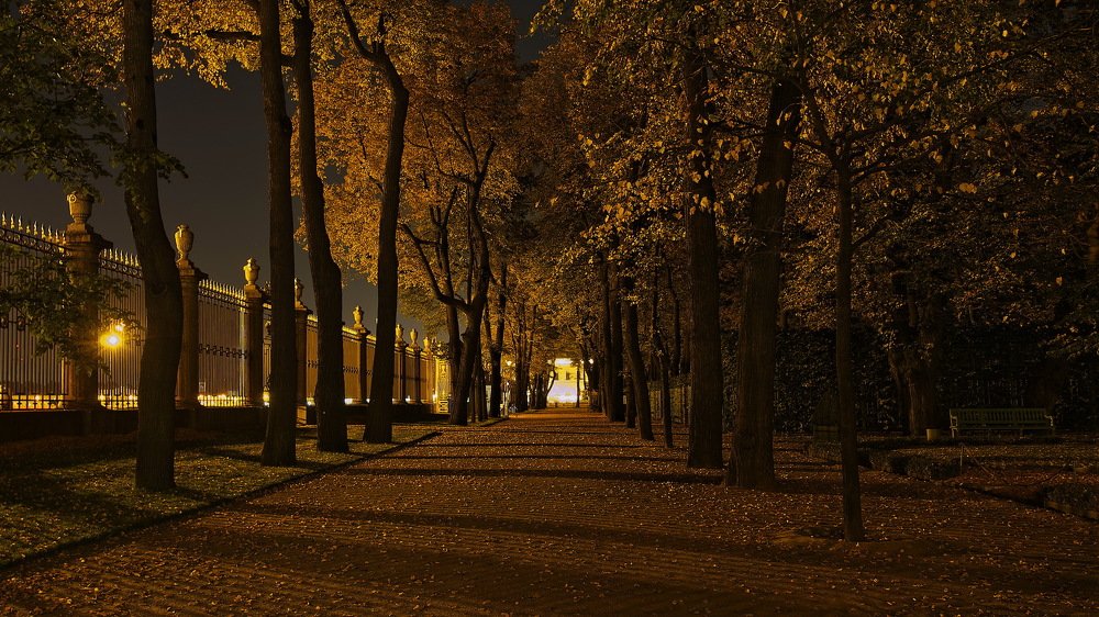 Вечер в Летнем саду.