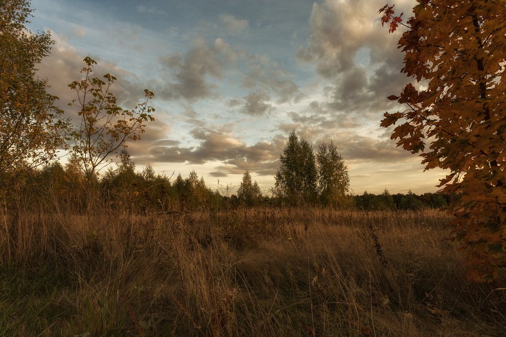Photograph by Сергей Бибиков
