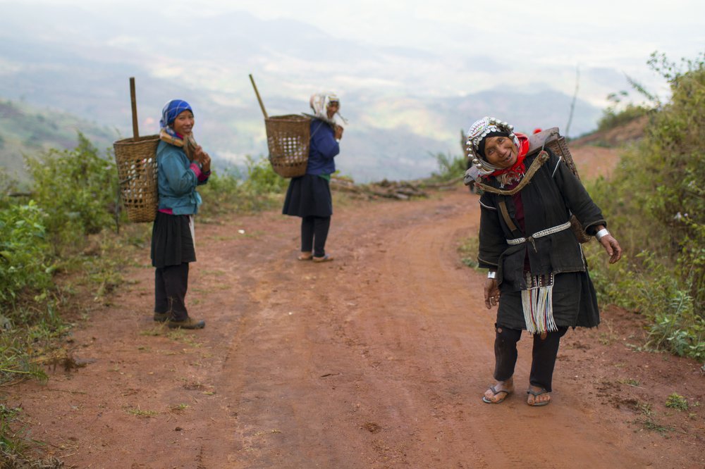 Photograph by Faletkin Mikhail