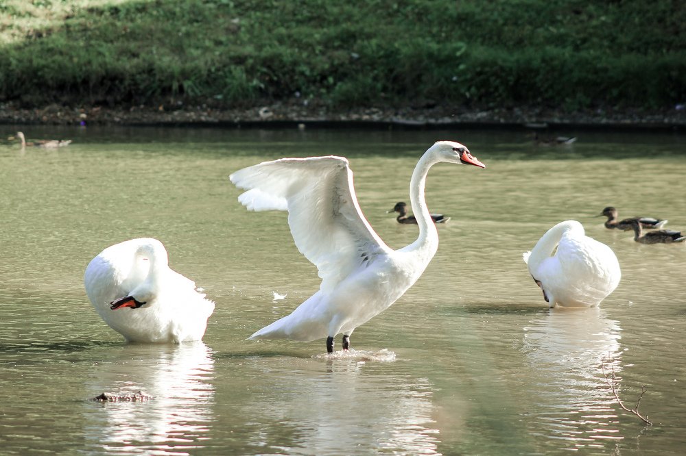 Photograph by Александра Божко
