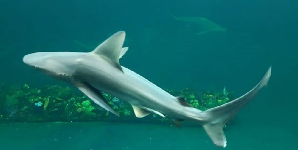 Photograph by William Rafael