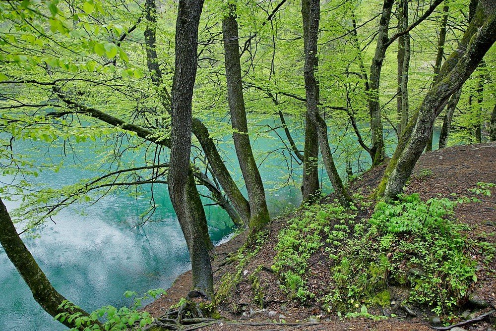 Photograph by Евгений Аккуратов