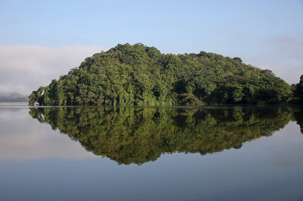 Photograph by Silvaní Hernández