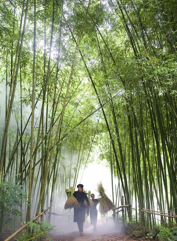 pictures of Vietnamese countryside