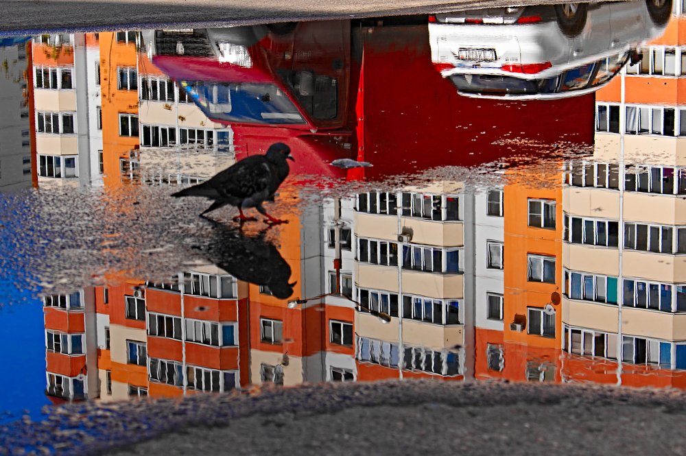 Photograph by Евгений Козлов