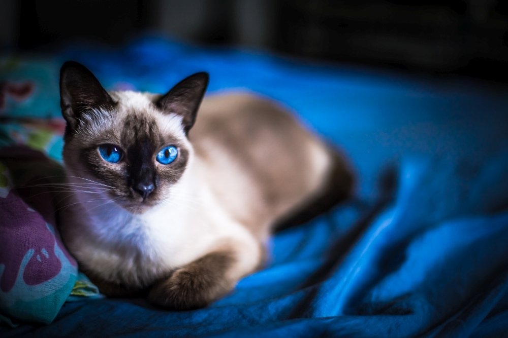 Photograph by Marco Antonio Perna