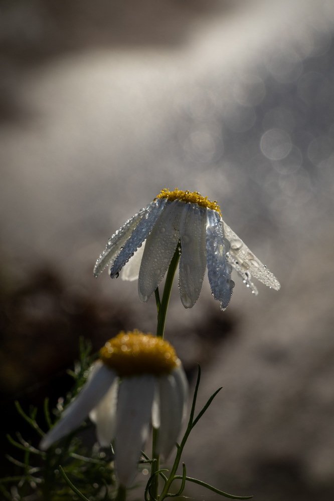 Photograph by Евгений Михеев