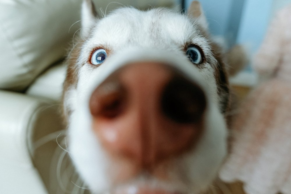 Photograph by Анна Герман