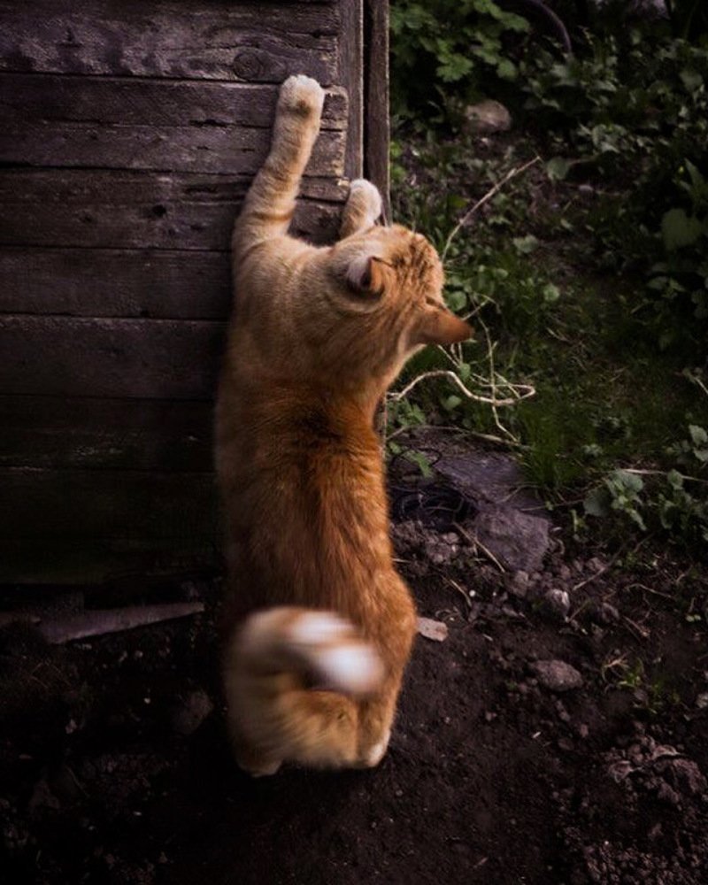 Photograph by Евгения Гудкова