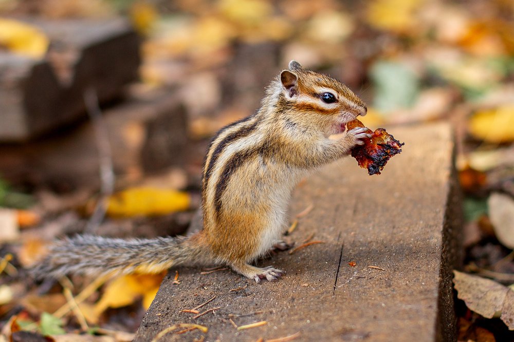 Photograph by Кристина Омарова