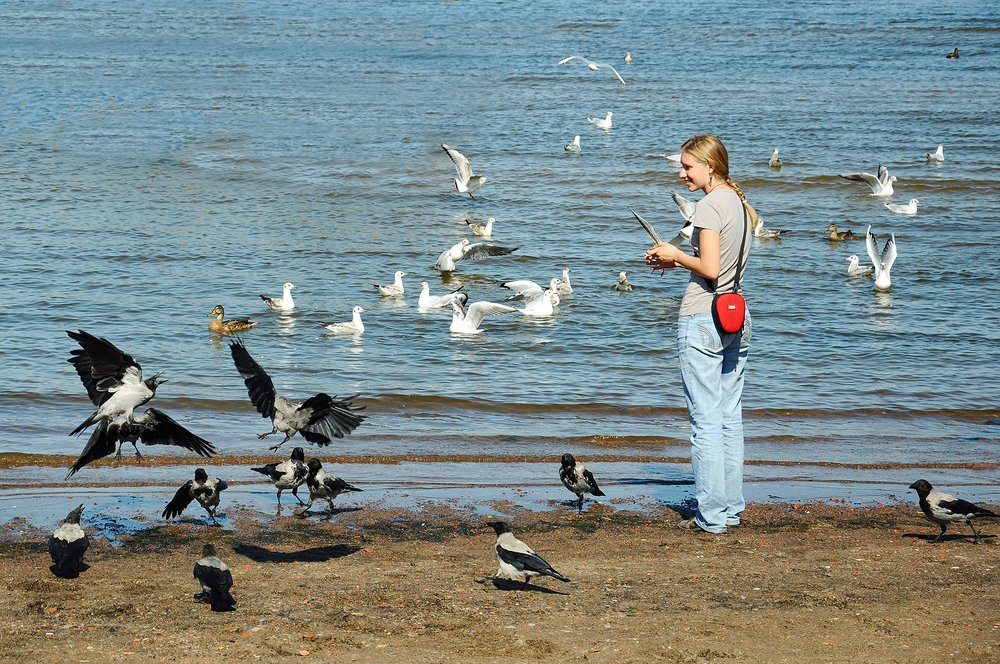 Photograph by Эдуард Шадров