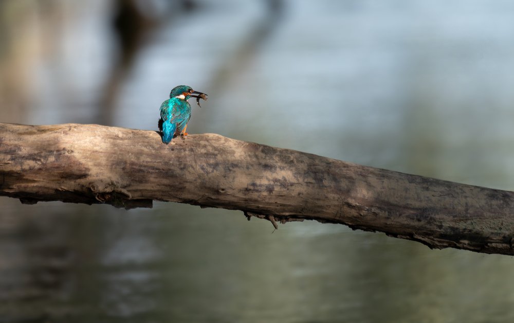 Photograph by Szőke Viktória