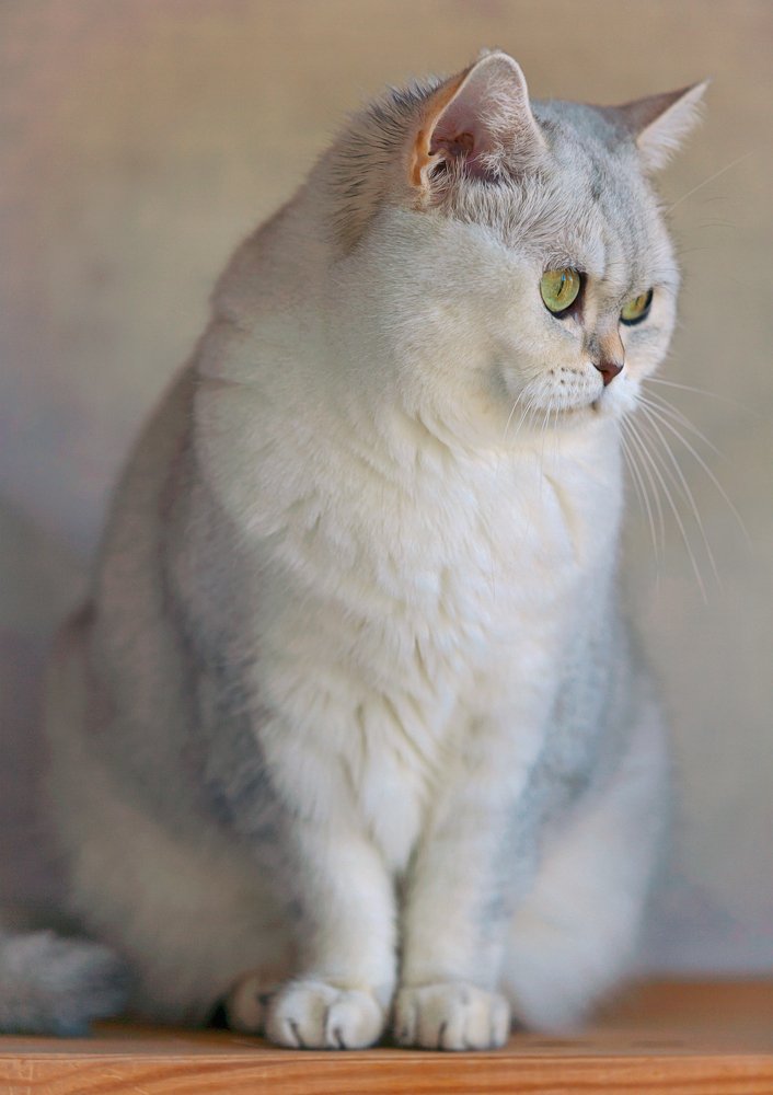 Photograph by Игорь Хижняк