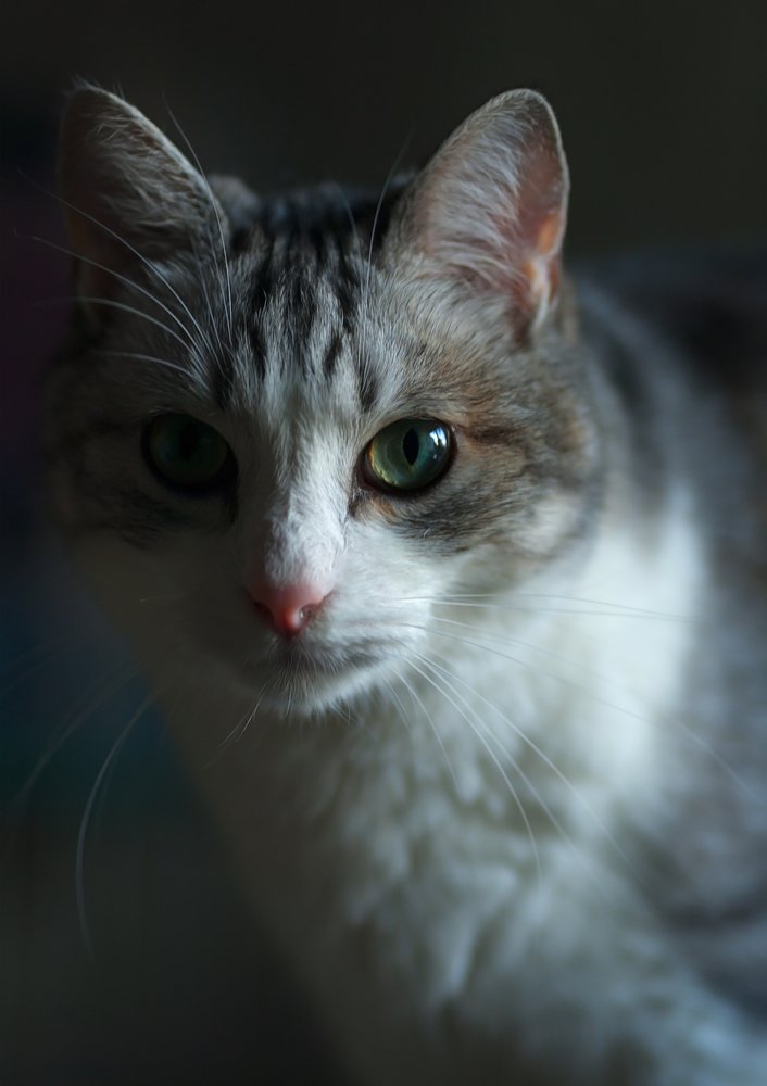 Photograph by Игорь Хижняк