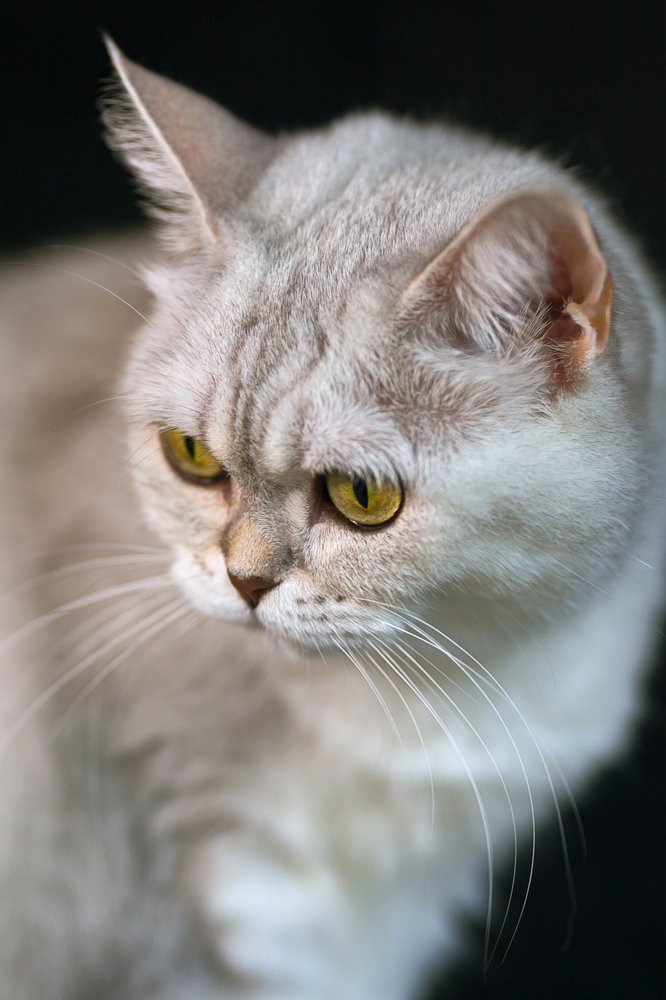 Photograph by Игорь Хижняк