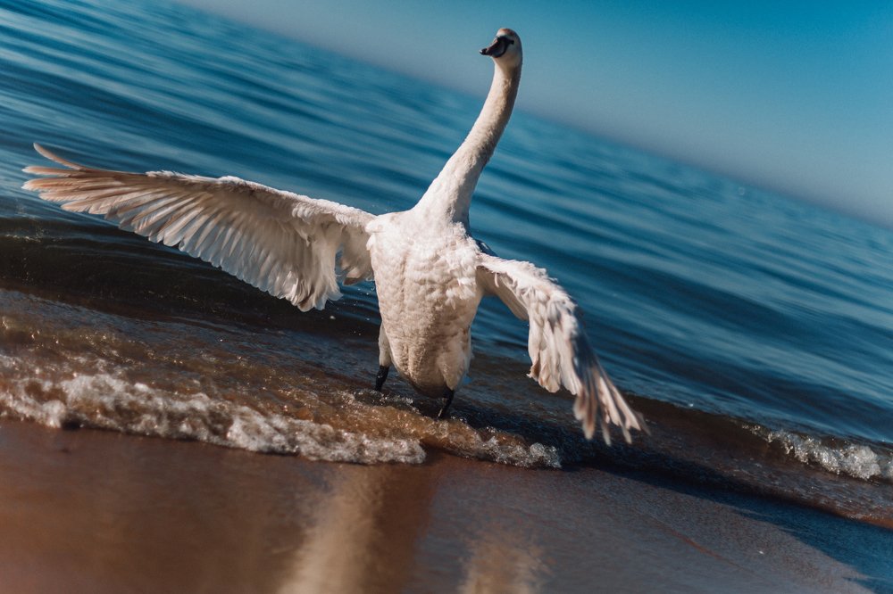 Photograph by Анна Гвоздовская