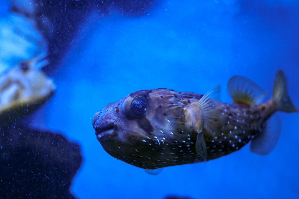 Photograph by Анна Гвоздовская