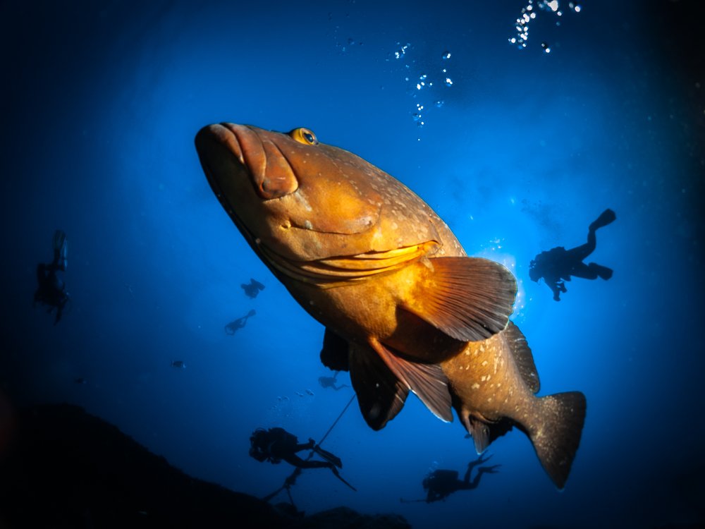 Фотография автора Sergio Agro