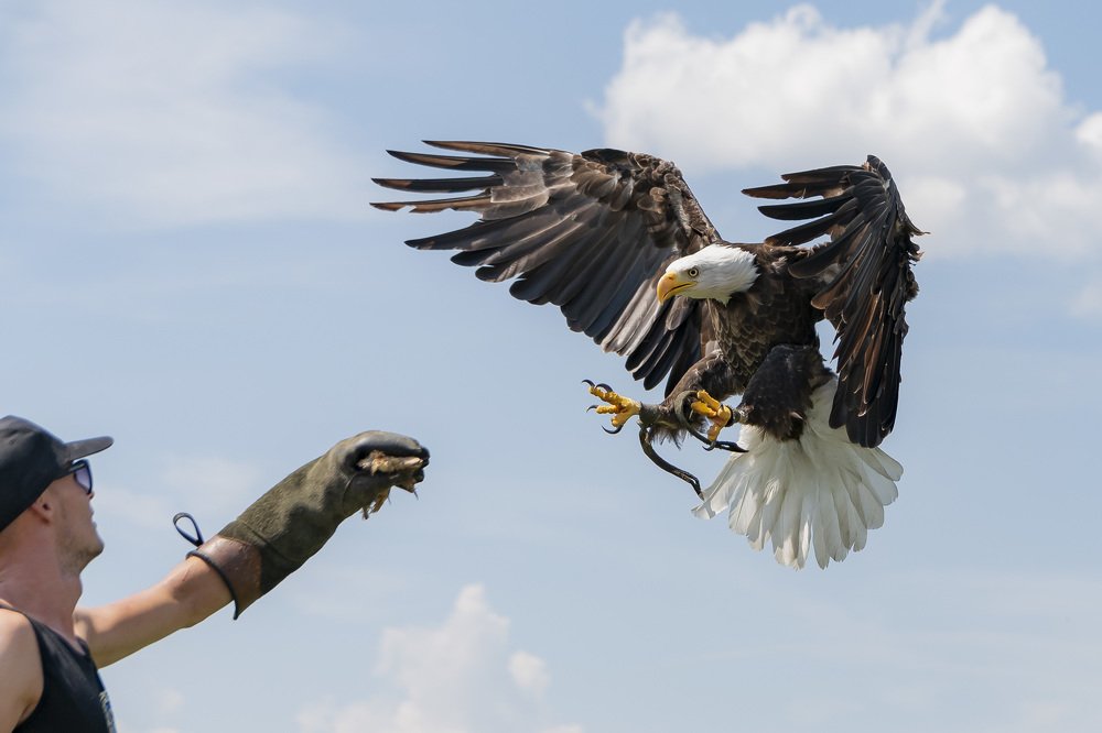 Photograph by bostjan imperl