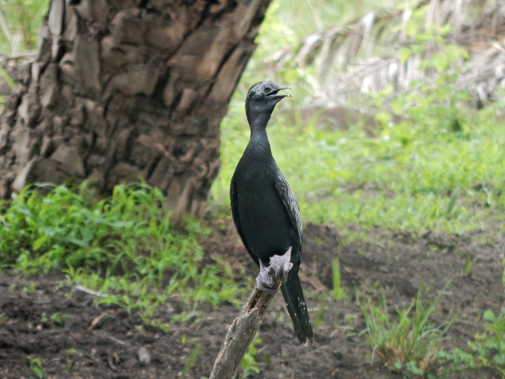 Photograph by Manav Das