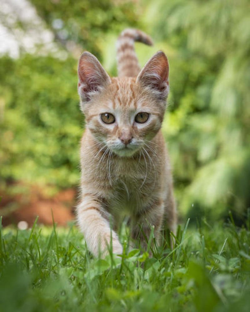 Photograph by bostjan imperl