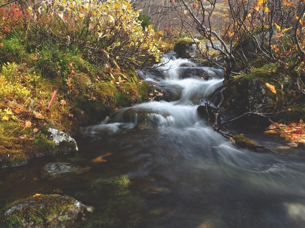 Photograph by Зайцева Катерина