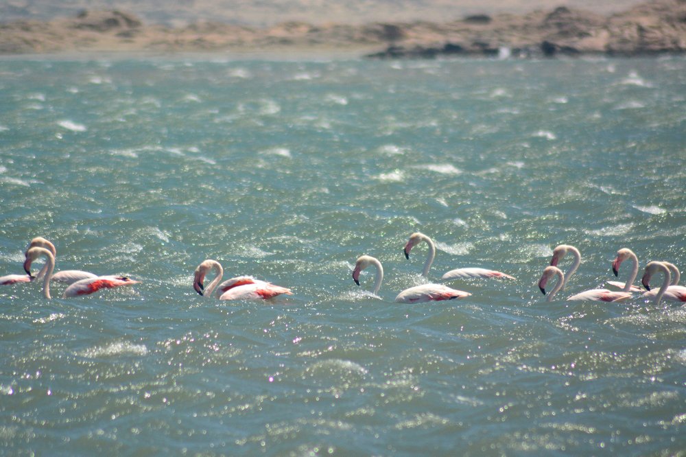 Photograph by Анатолий Орлов