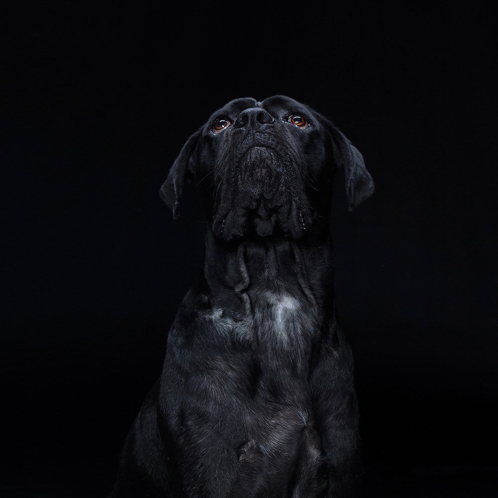 Photograph by Alex Perelman