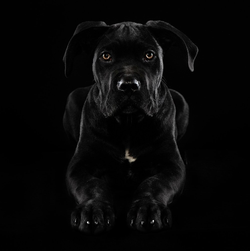 Photograph by Alex Perelman