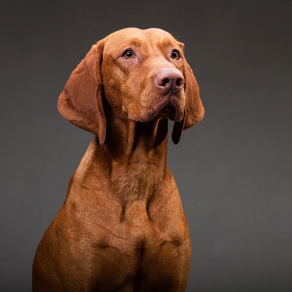 Photograph by Alex Perelman