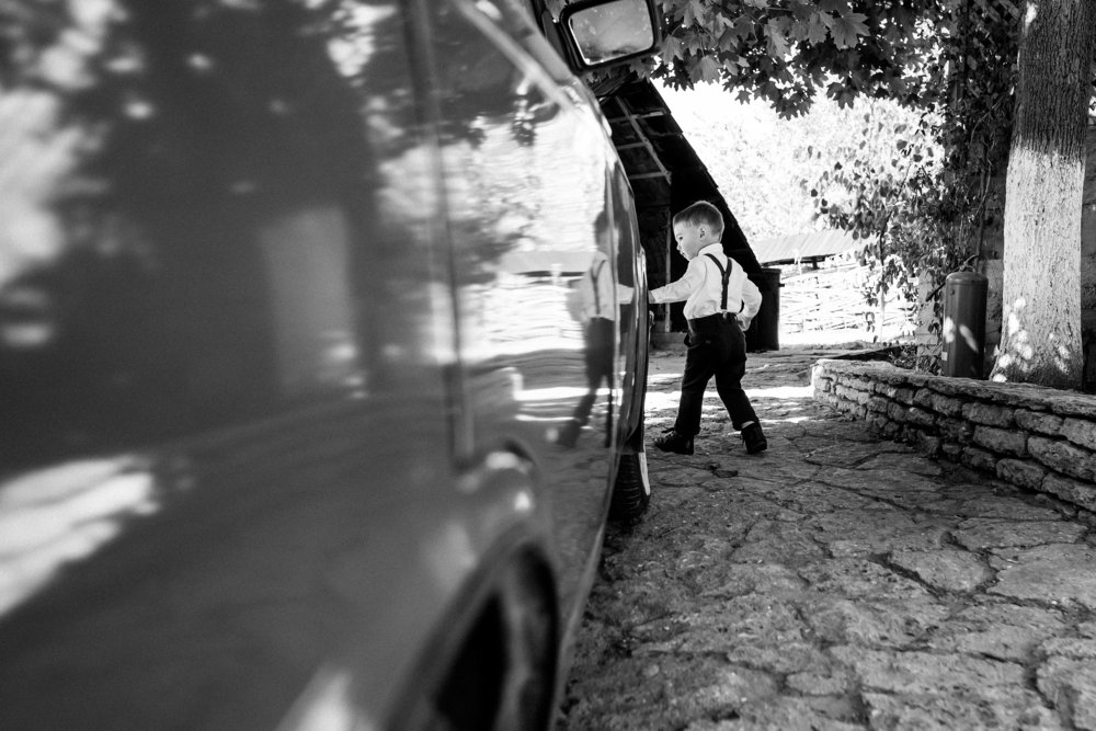 Photograph by Plugari Constantin