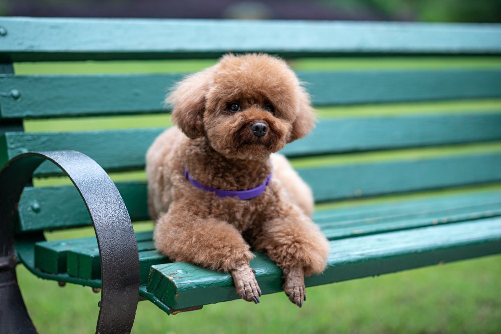 Photograph by Alexander Kovalenko