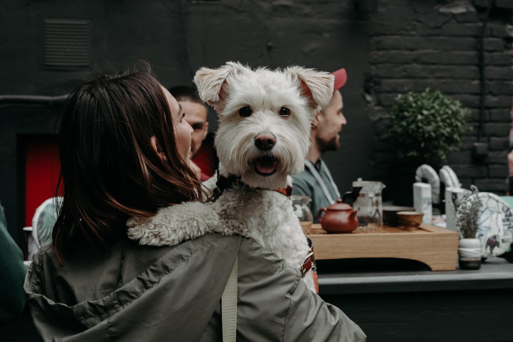 Photograph by Alexander Kovalenko