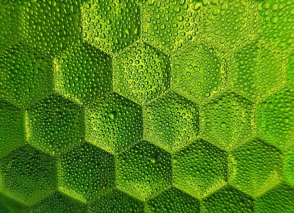 Photograph by Ольга Пумочка-13