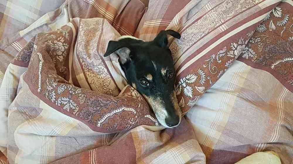 "Я только на минуточку прилегла...."/ "I just lay down for a minute..."