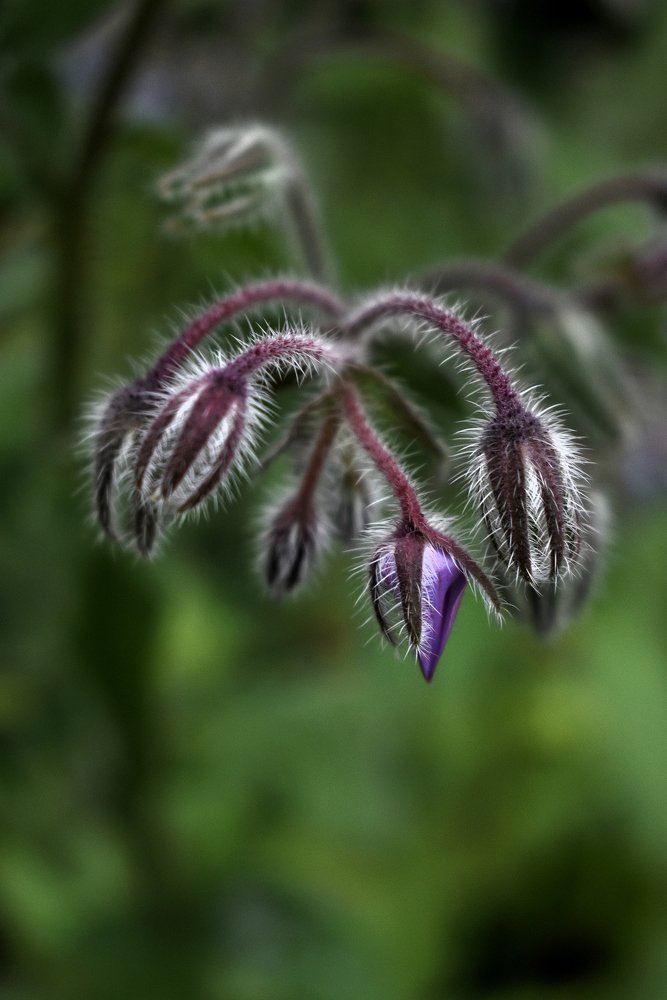 Photograph by Vitalii Kaznin