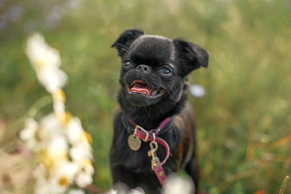 Photograph by Евгения Швецова