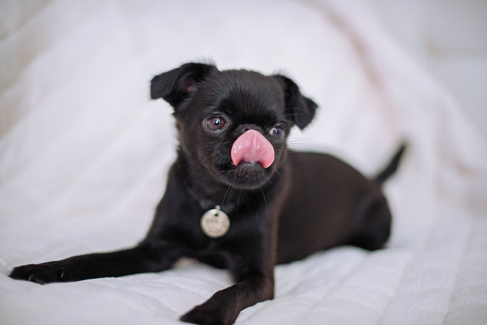 Photograph by Евгения Швецова