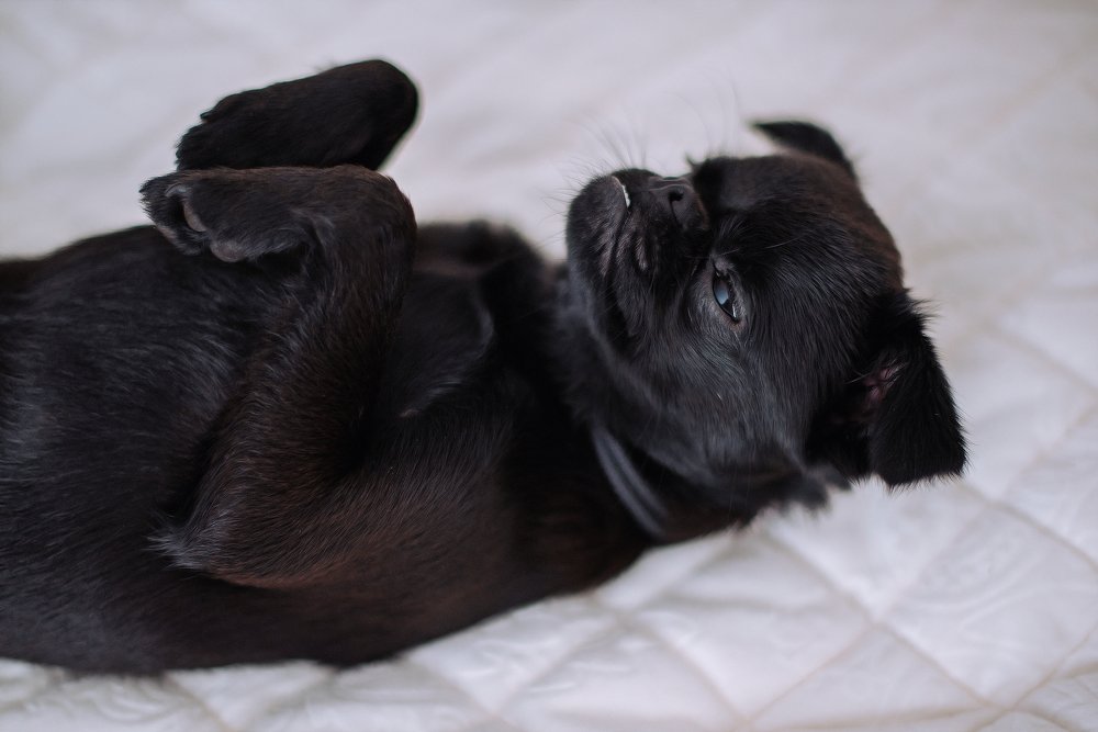 Photograph by Евгения Швецова