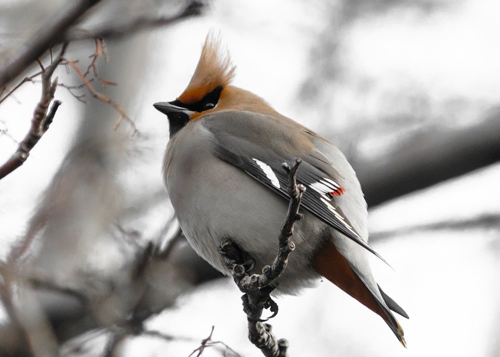 Photograph by Сергей Балухта