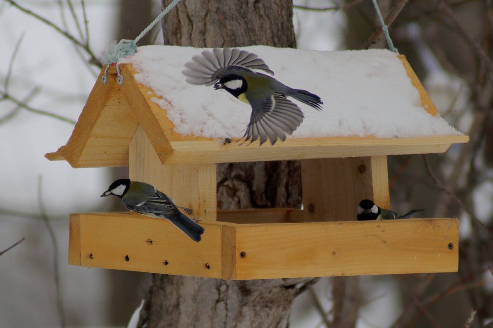 Photograph by Эльза Давлеева