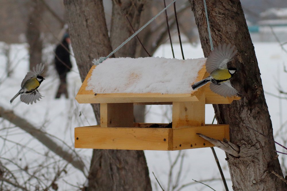 Photograph by Эльза Давлеева